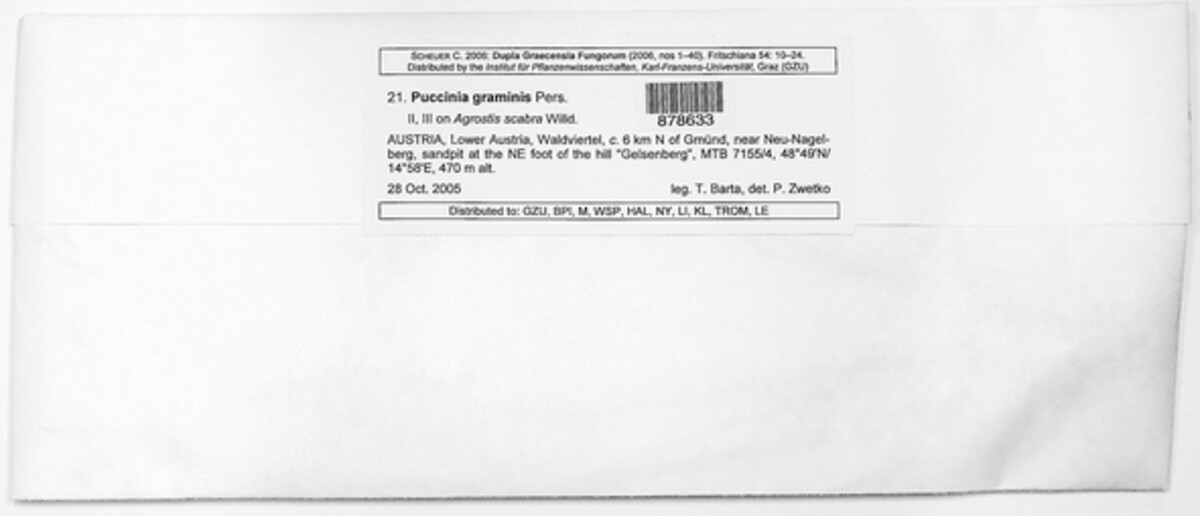 Puccinia graminis image